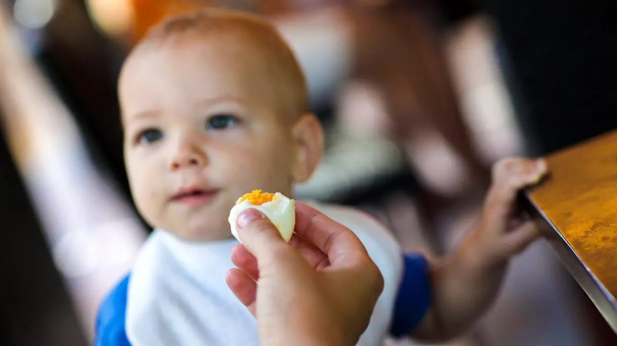 Eggs are good for babies