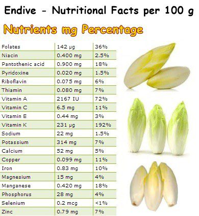 Endive: tất cả các lợi ích dinh dưỡng của nó