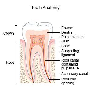 Их араа шүд ба зүслэгийн эрдэсжилтийн (MIH) талаар мэдэх шаардлагатай бүх зүйл