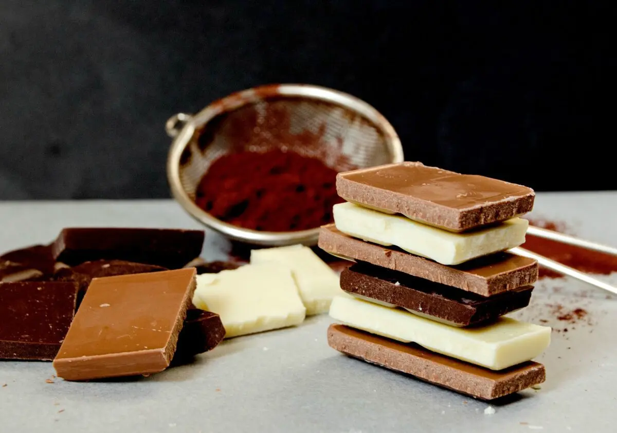 Everything you want to know about chocolate