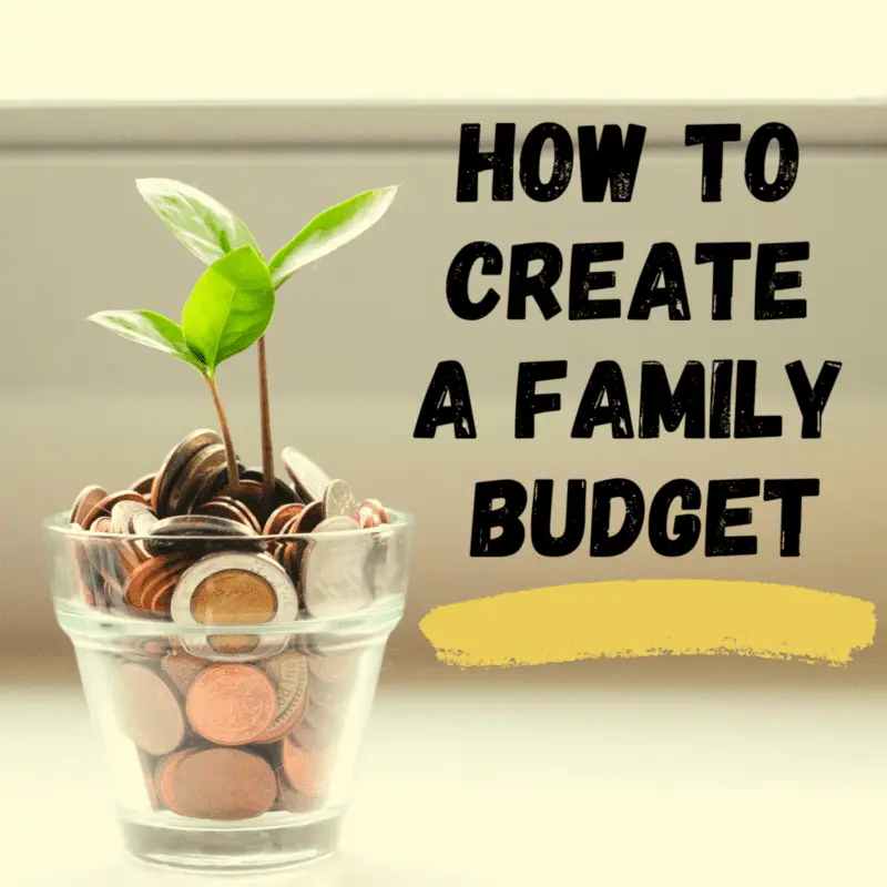 Family budget: we become aware of our purchases and we slow down spending