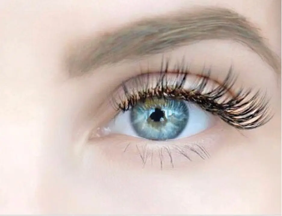 Female fertility: the key role of eyelashes in the fallopian tubes