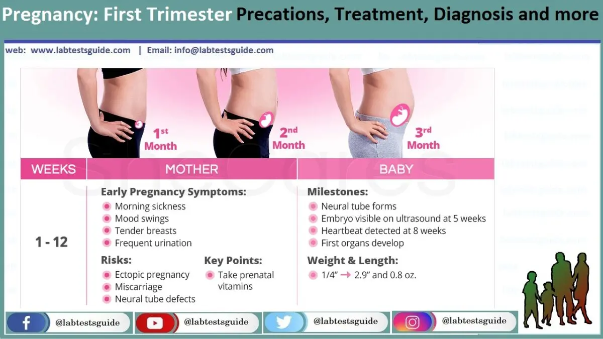 First trimester of pregnancy: procedures and exams