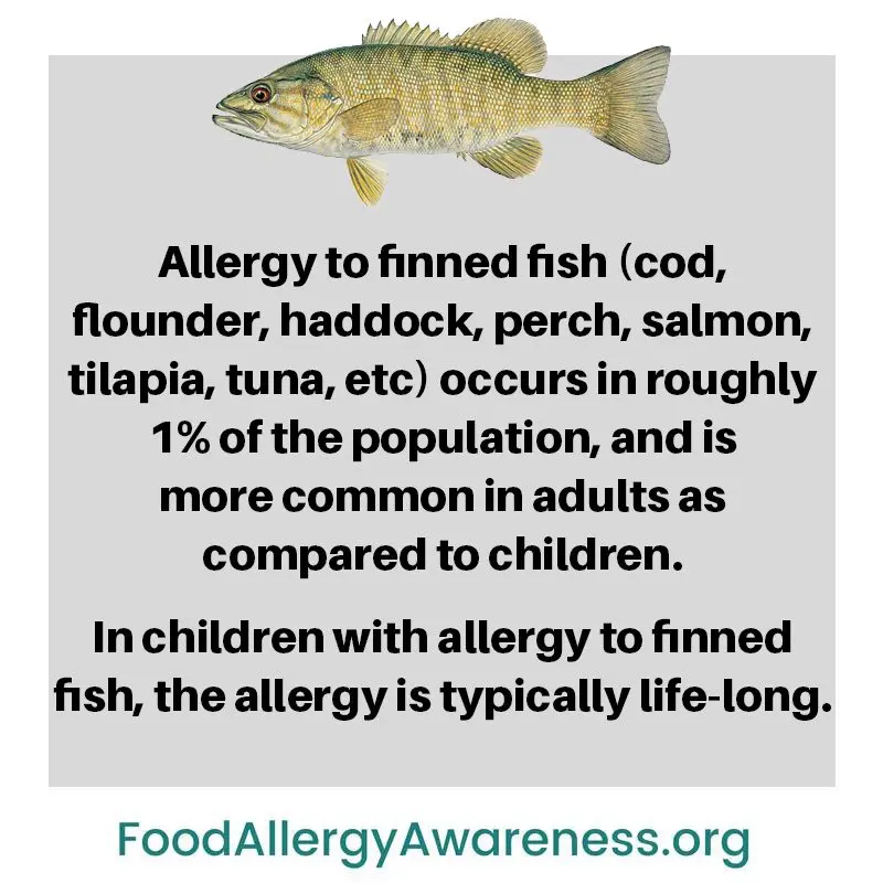 Fish allergy: what if my child is affected?