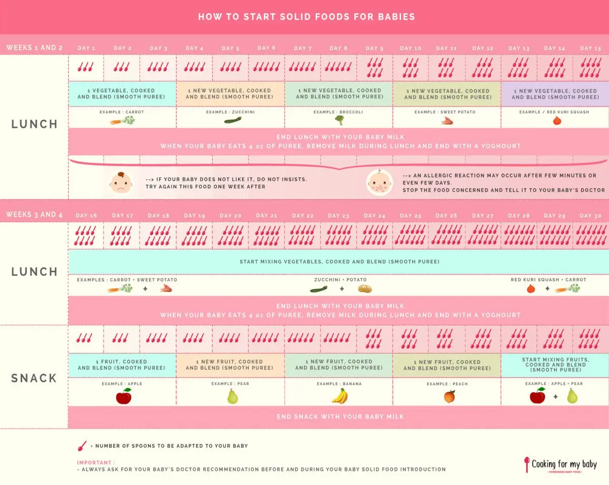 Baby food diversification: we start between 4 and 6 months