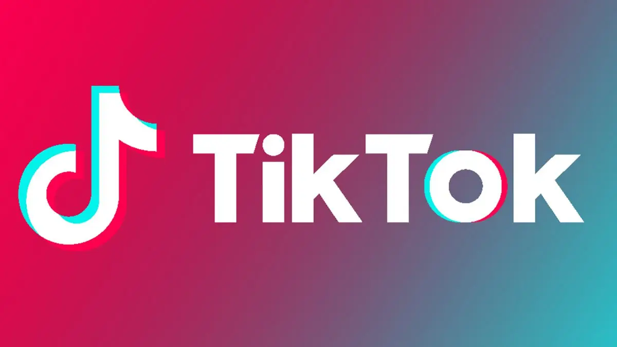 How to explain the Tik Tok phenomenon, an application used by 8-13 year olds?