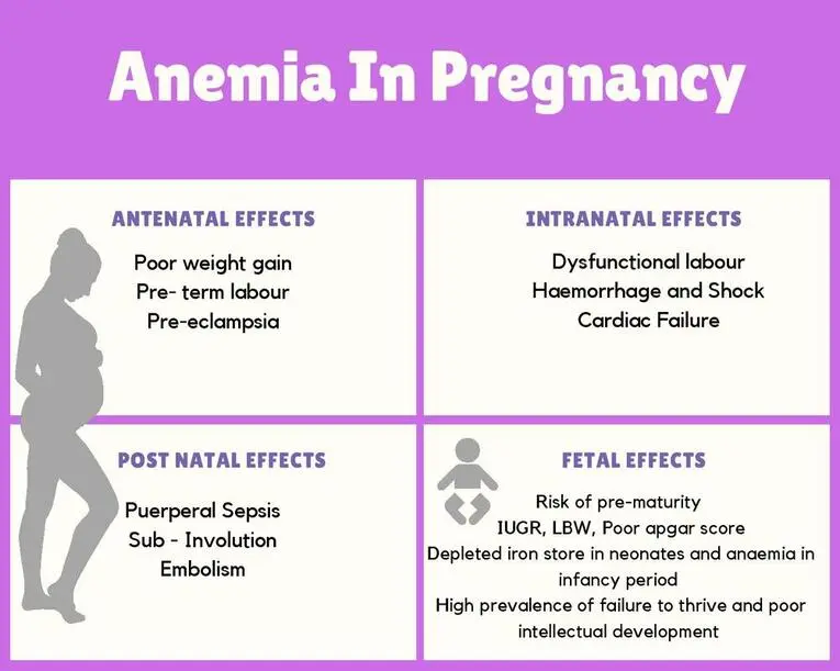 Iron, essential during pregnancy