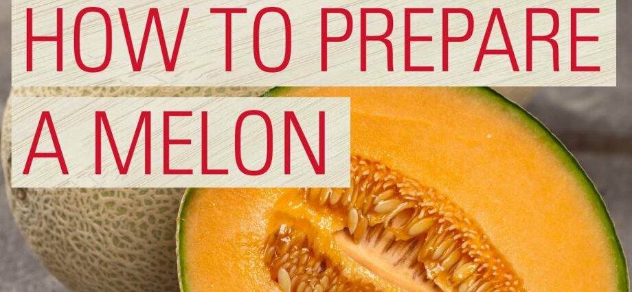 Melon: hur man lagar och förbereder det