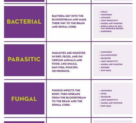 Meningitis: the different types to know