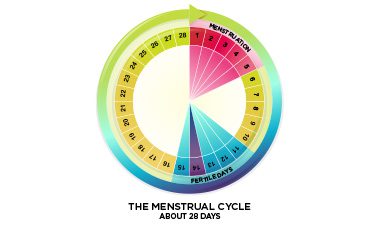 Menstrual Zyklus: Perioden bei Fraen