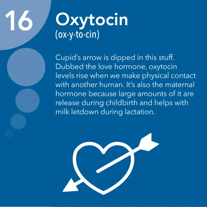 Oxytocin: pregnancy, the hormone that wants us good