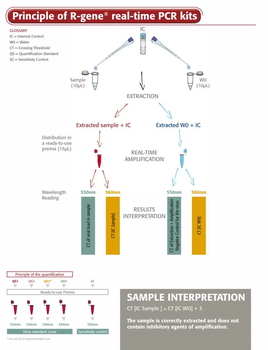 Parvovirus B19 screening