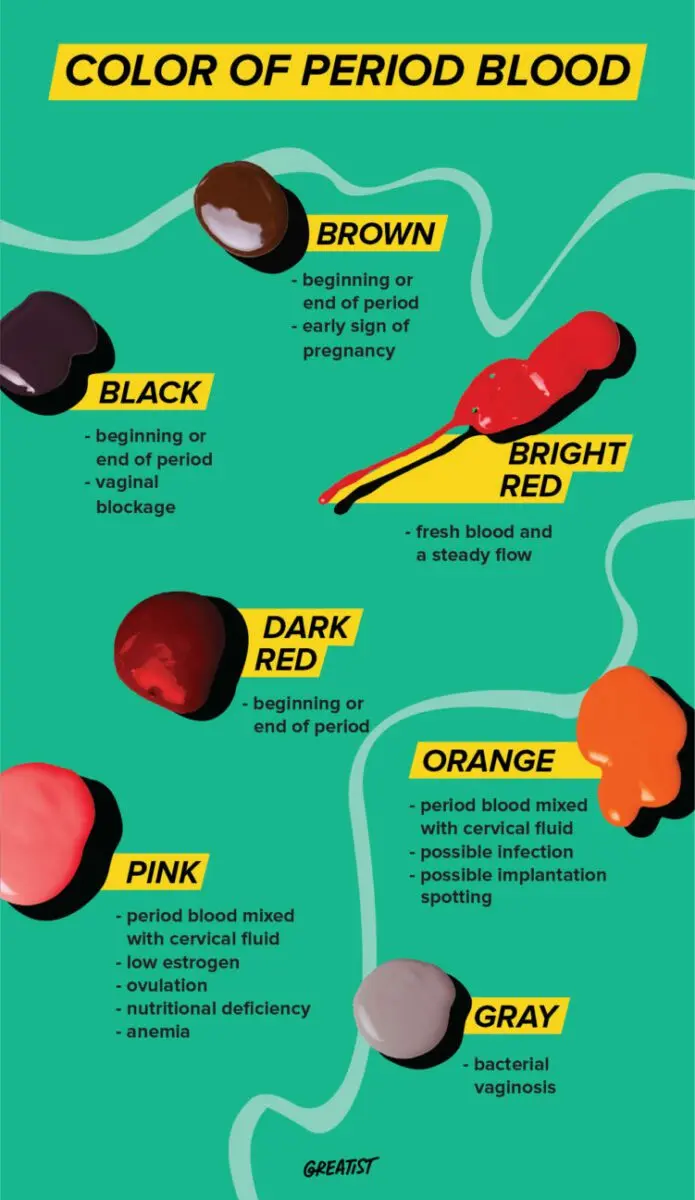 Periods and other blood loss during pregnancy