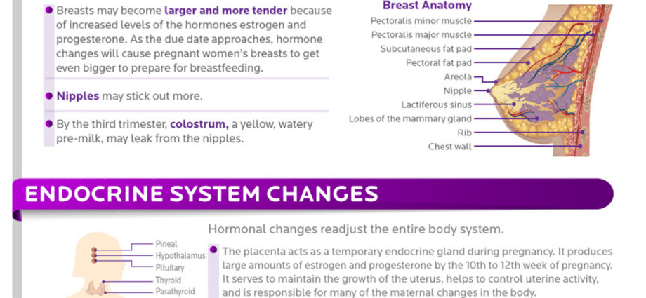 Embaràs: canvis en el nostre cos