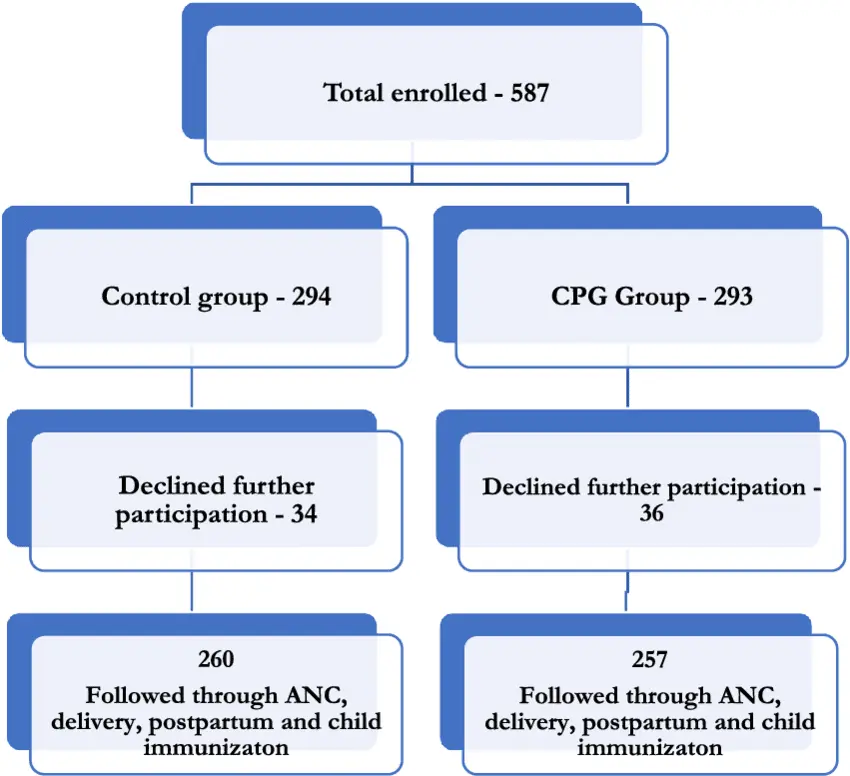 Pregnancy follow-up: comprehensive support at birth with a midwife