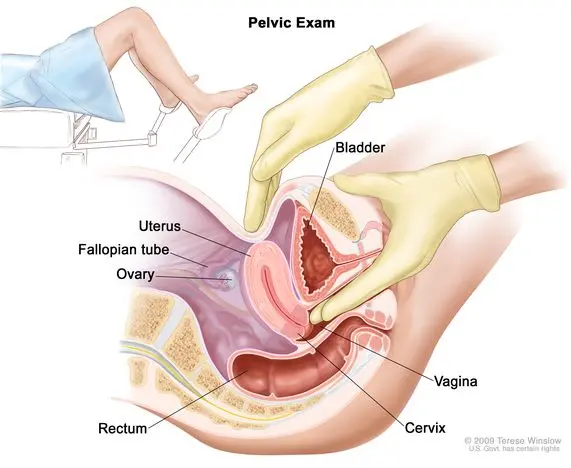 Pregnancy: what is vaginal examination for?