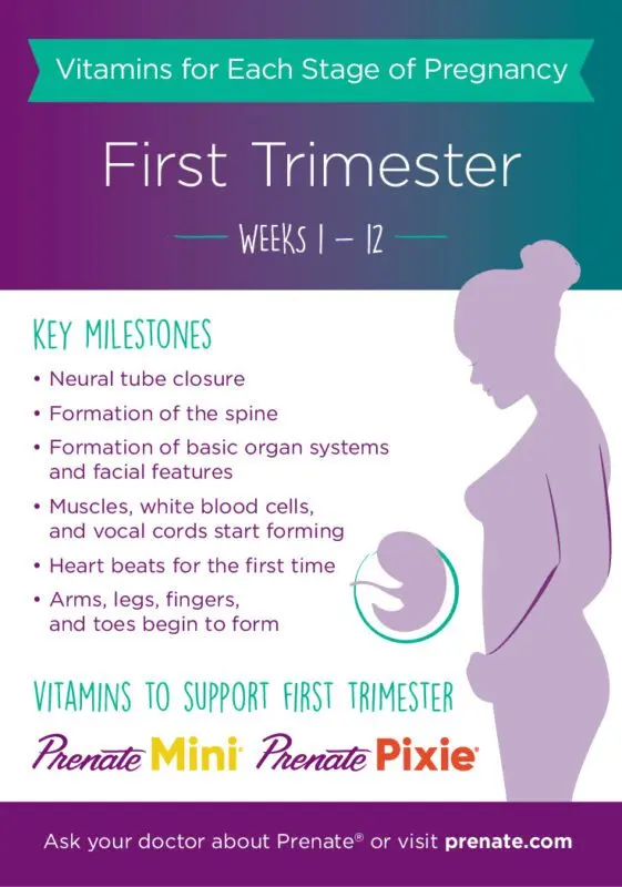 Pregnancy: when to take supplements?