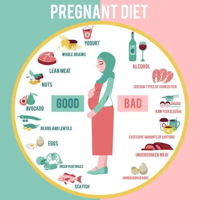 Pregnant and vegetarian: how to balance your meals?