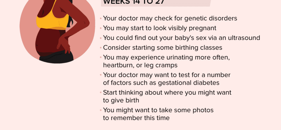 Pregnant: your first steps