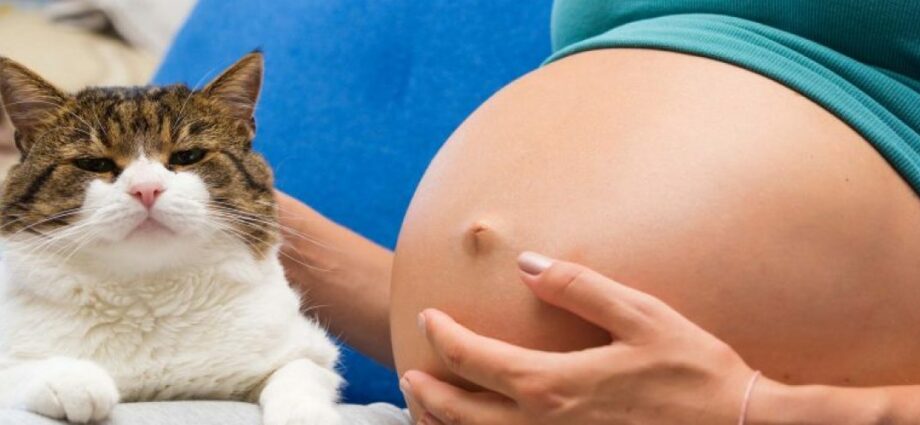 Protecting yourself from toxoplasmosis when you are pregnant