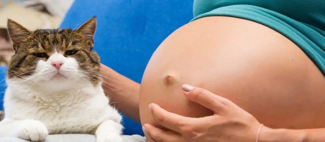 Protecting yourself from toxoplasmosis when you are pregnant