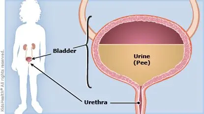 Recognize and treat cystitis in young girls