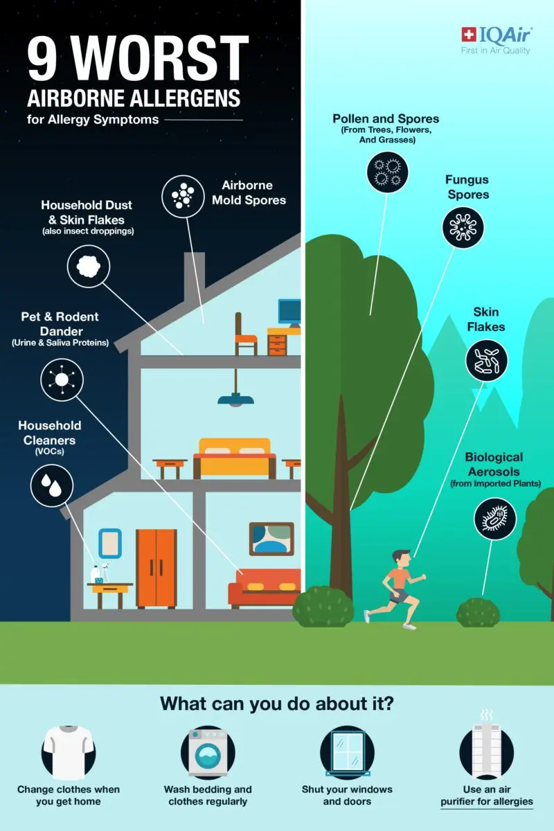 Household allergies: the air quality in question