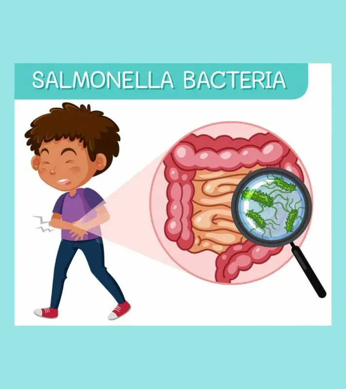 Salmonellosis in pregnancy: precautions, risks and symptoms