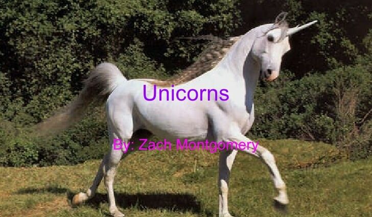 შოპინგი: ოჰ, მშვენიერი unicorns! (სლაიდშოუ)