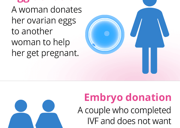 感言：“我捐赠了我的卵母细胞。 “