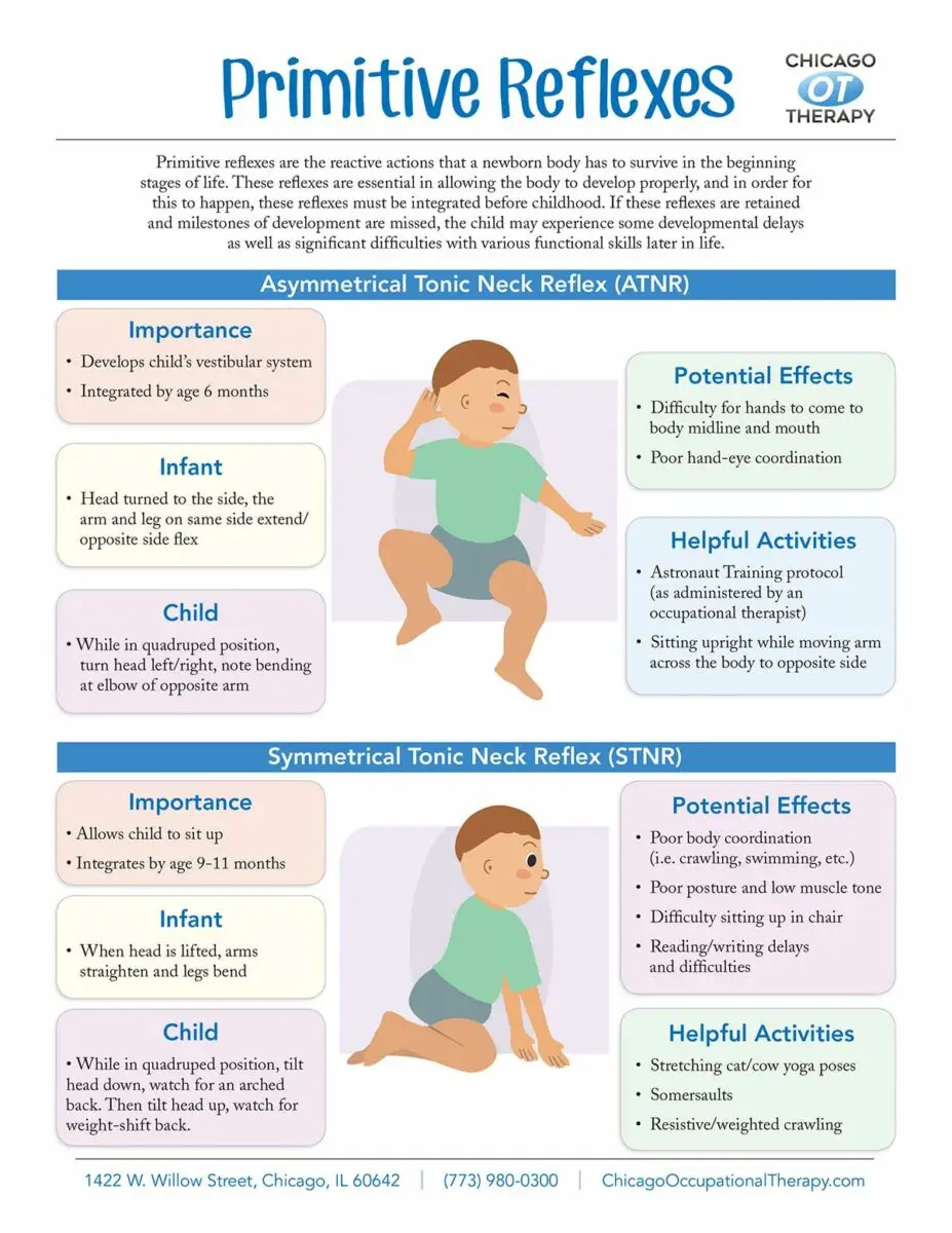 The archaic reflexes of the infant