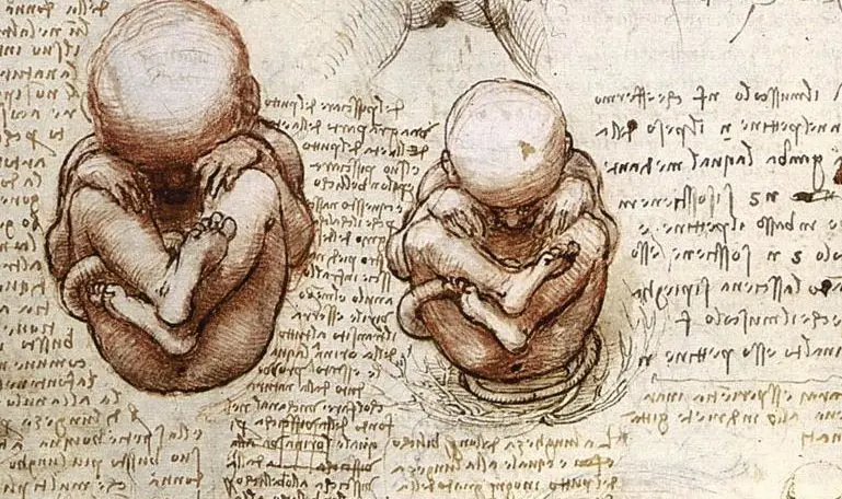 The baby&#8217;s growth retardation in utero