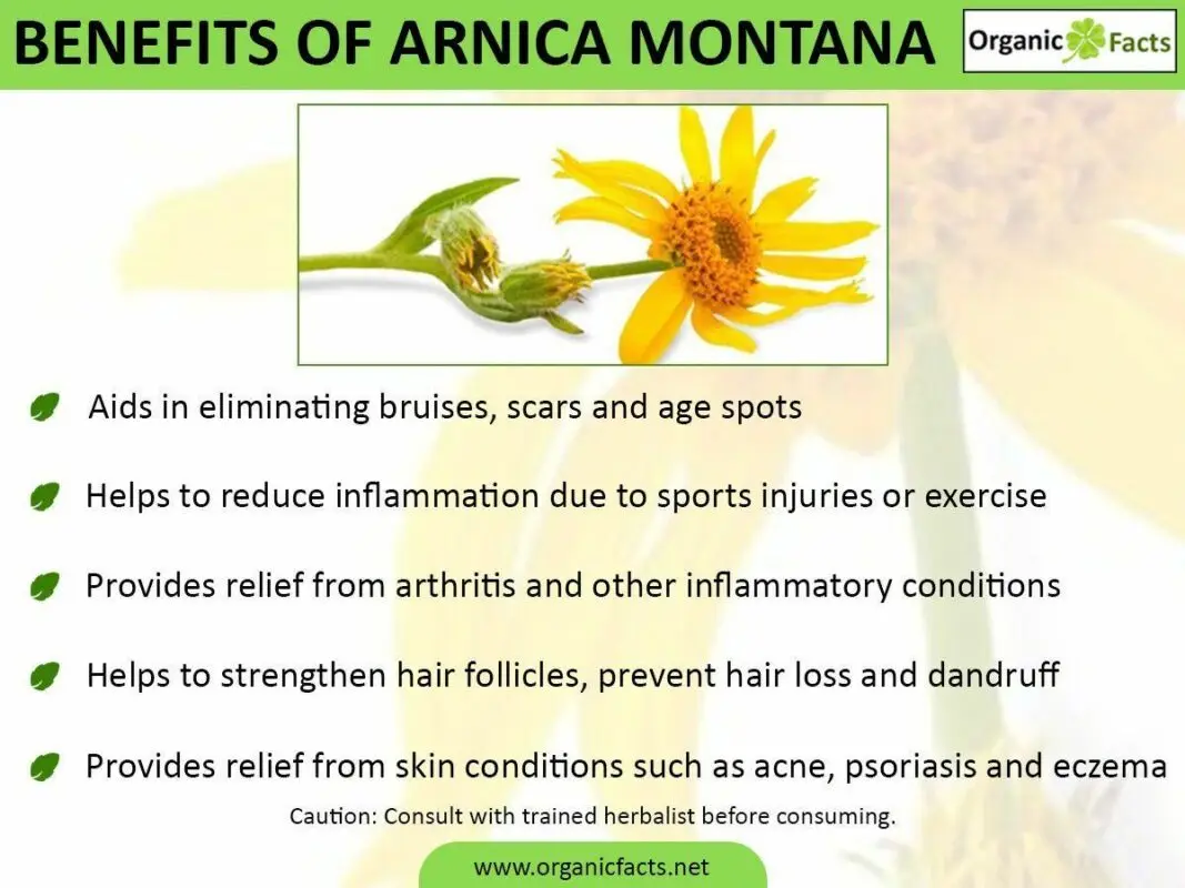 The benefits of arnica