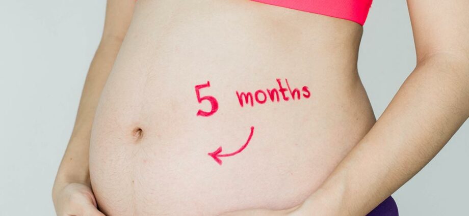 Peti mjesec trudnoće