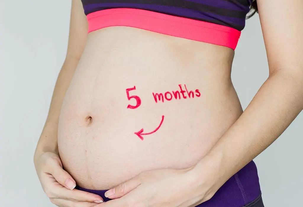 The fifth month of pregnancy