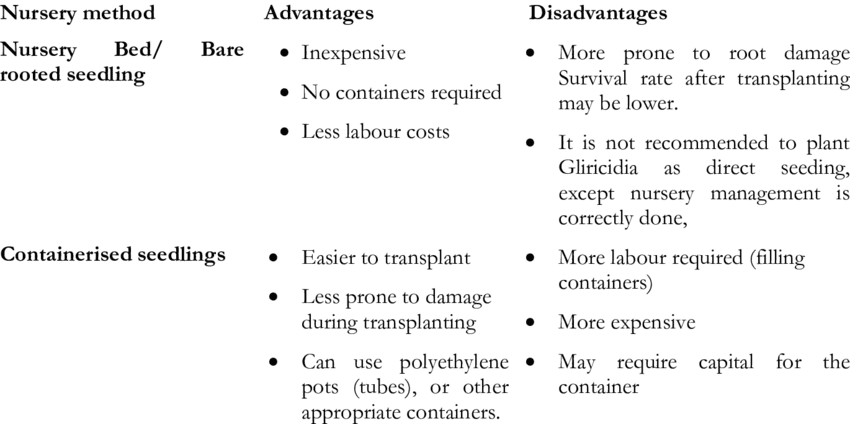 The nursery: advantages and disadvantages