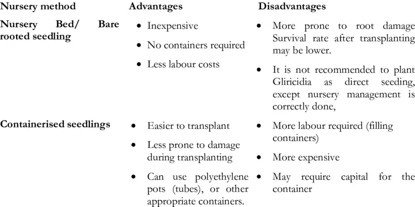 The nursery: advantages and disadvantages