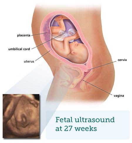 Vérszegénység terhesség alatt | Piszéweba.lt Vérszegénység 6 hónapos terhes