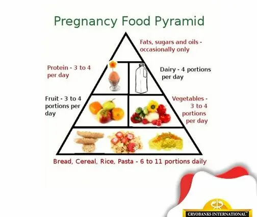 The special food pyramid for pregnant women