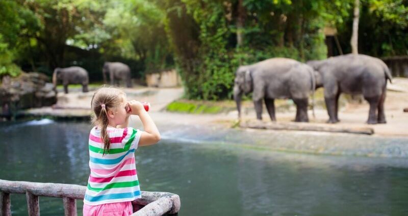 Top 13 nga kopshtet zoologjike më të bukura në Francë