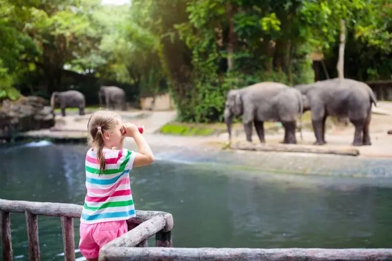 Top 13 of the most beautiful zoos in France