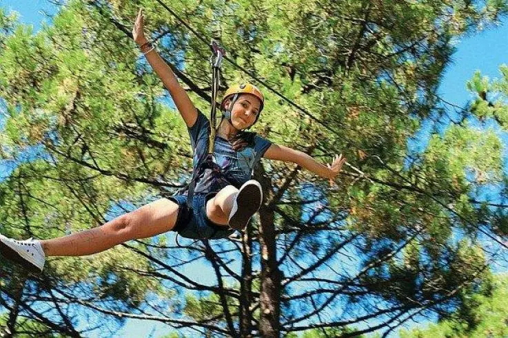 Top 15 tree climbing routes in France