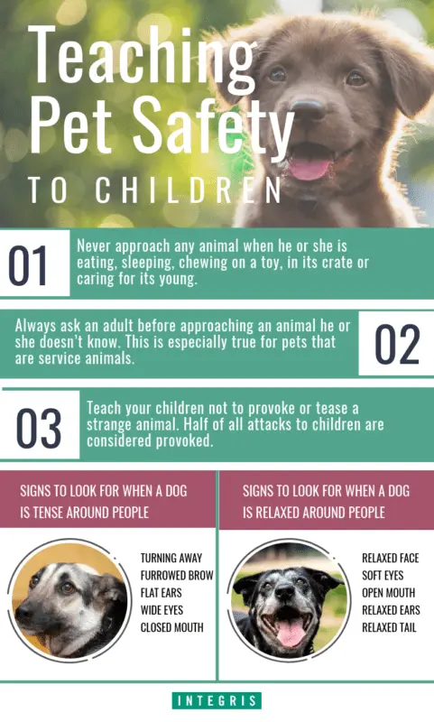 Treat your animals, protect your children!