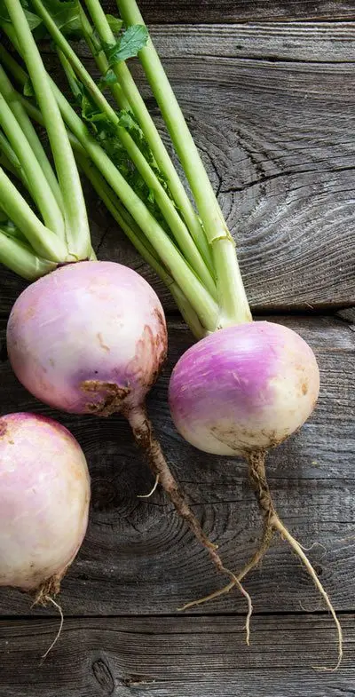 Turnip, why is this vegetable good for children?