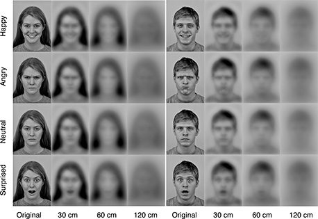 Vision: what does a newborn baby see at birth?