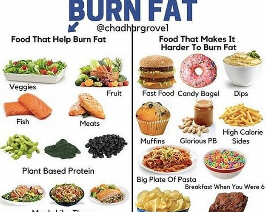 脂肪を燃焼させるために何を食べますか？