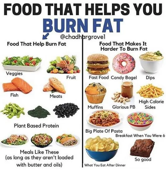 What do I eat to burn fat