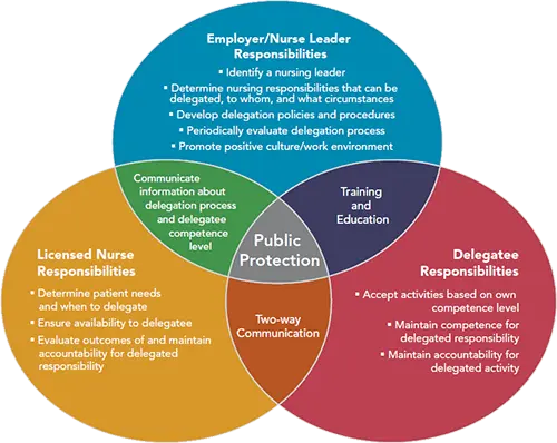 What is the role of a delegate of parents of pupils?