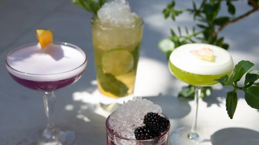 10 Cocktail Recipes for New Year 2022