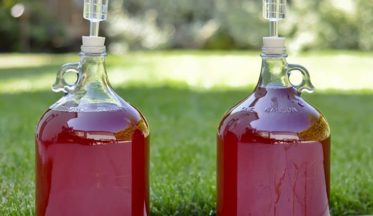 13 Homemade Mead Recipes: The Best of the Best